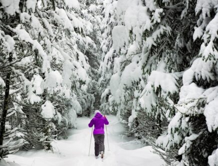 skiferie lejlighed østrig